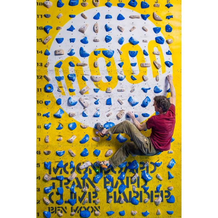 Moon School Holds - Set D 40 prese arrampicata
